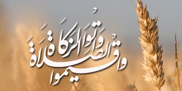 الزكاة في القرآن